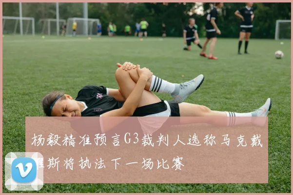 杨毅精准预言G3裁判人选称马克戴维斯将执法下一场比赛